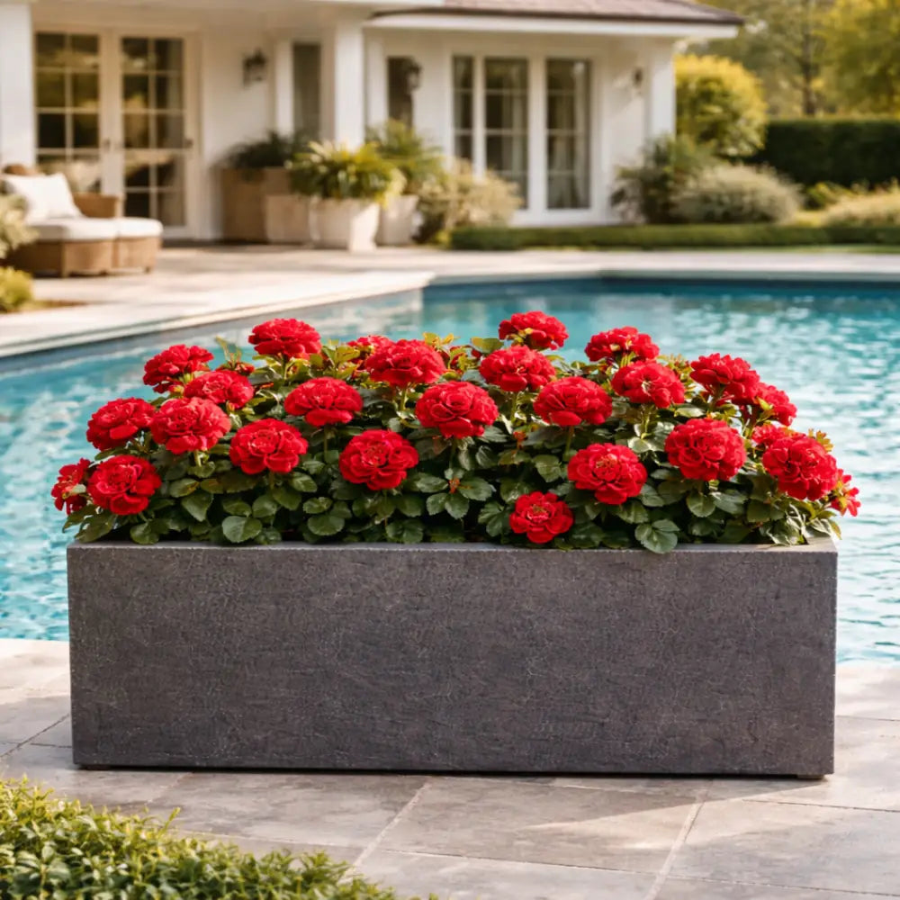 Jardinière béton extérieur
