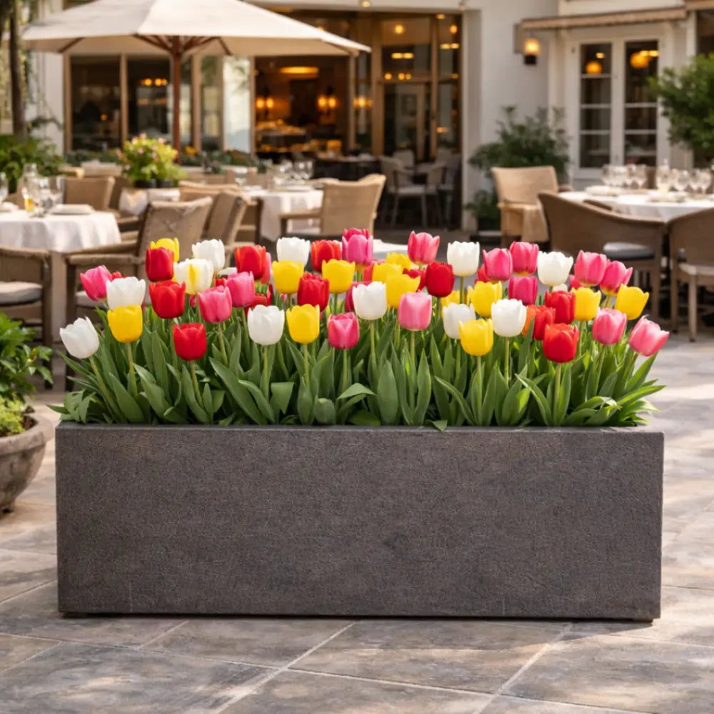 Jardinière béton extérieur