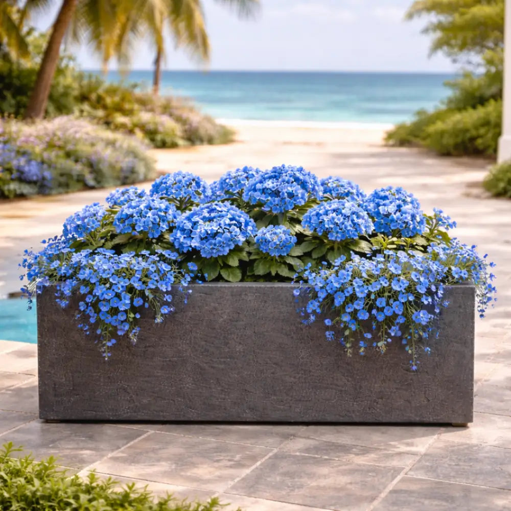 Jardinière béton extérieur