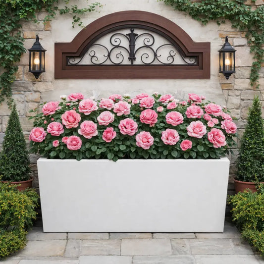 Jardinière béton rectangulaire - Blanc