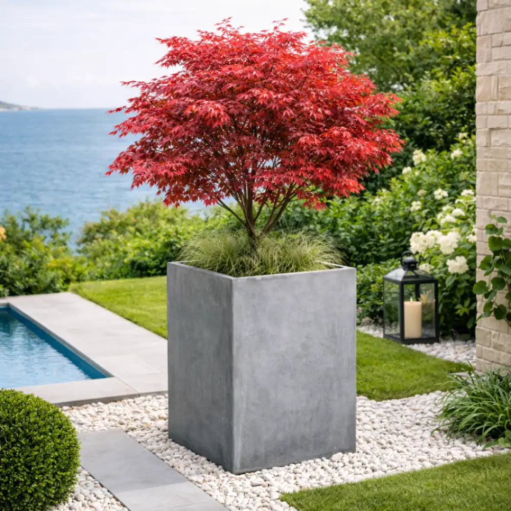 Jardinière béton terrasse