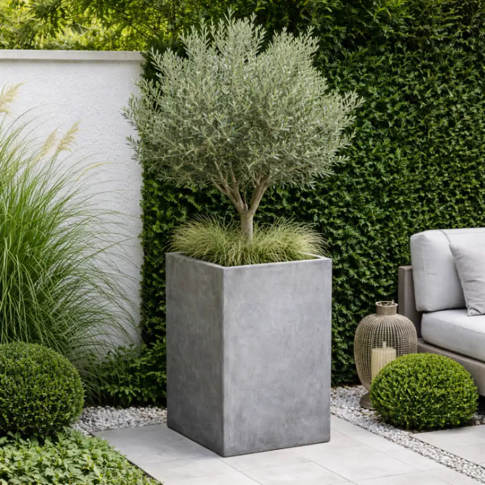 Jardinière béton terrasse
