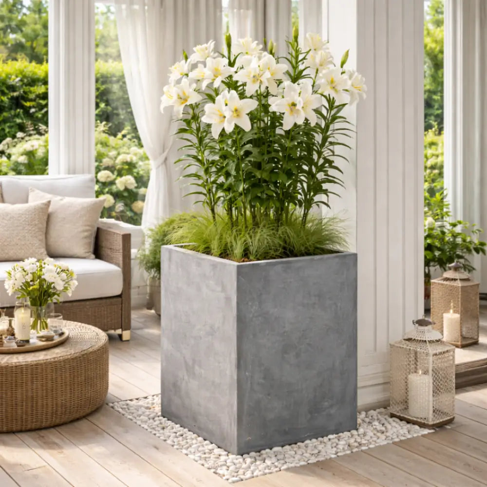 Jardinière béton terrasse