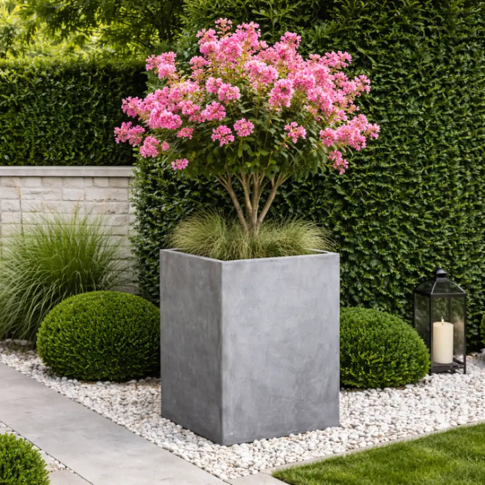 Jardinière béton terrasse