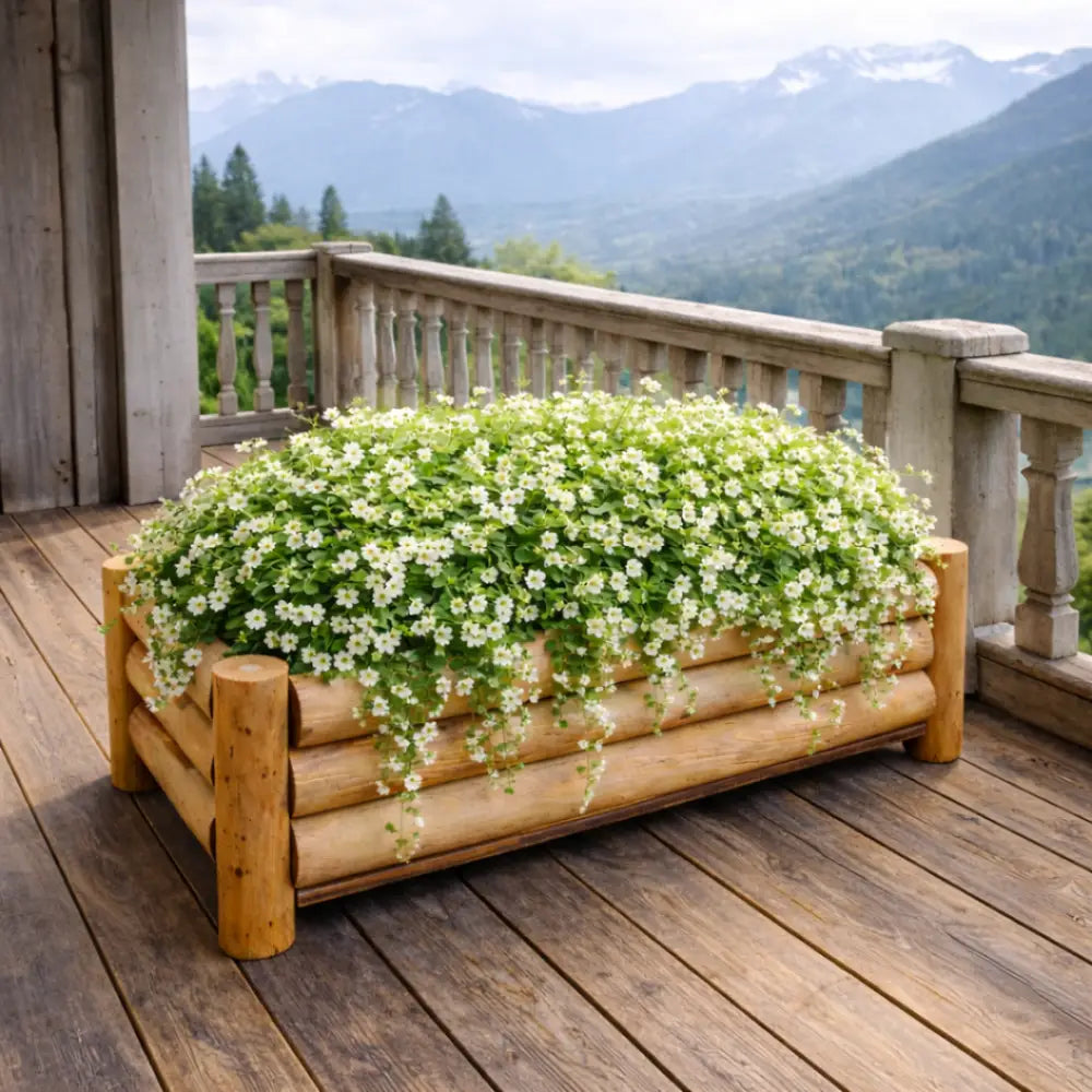 Jardinière bois terrasse