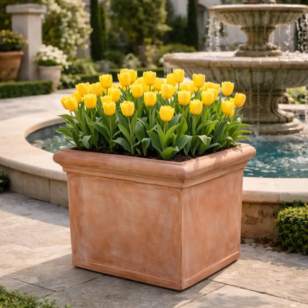Jardinière carré terre cuite