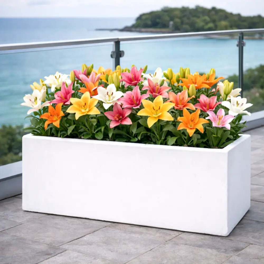 Jardinière en béton 100cm
