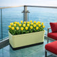 Jardinière extérieur balcon