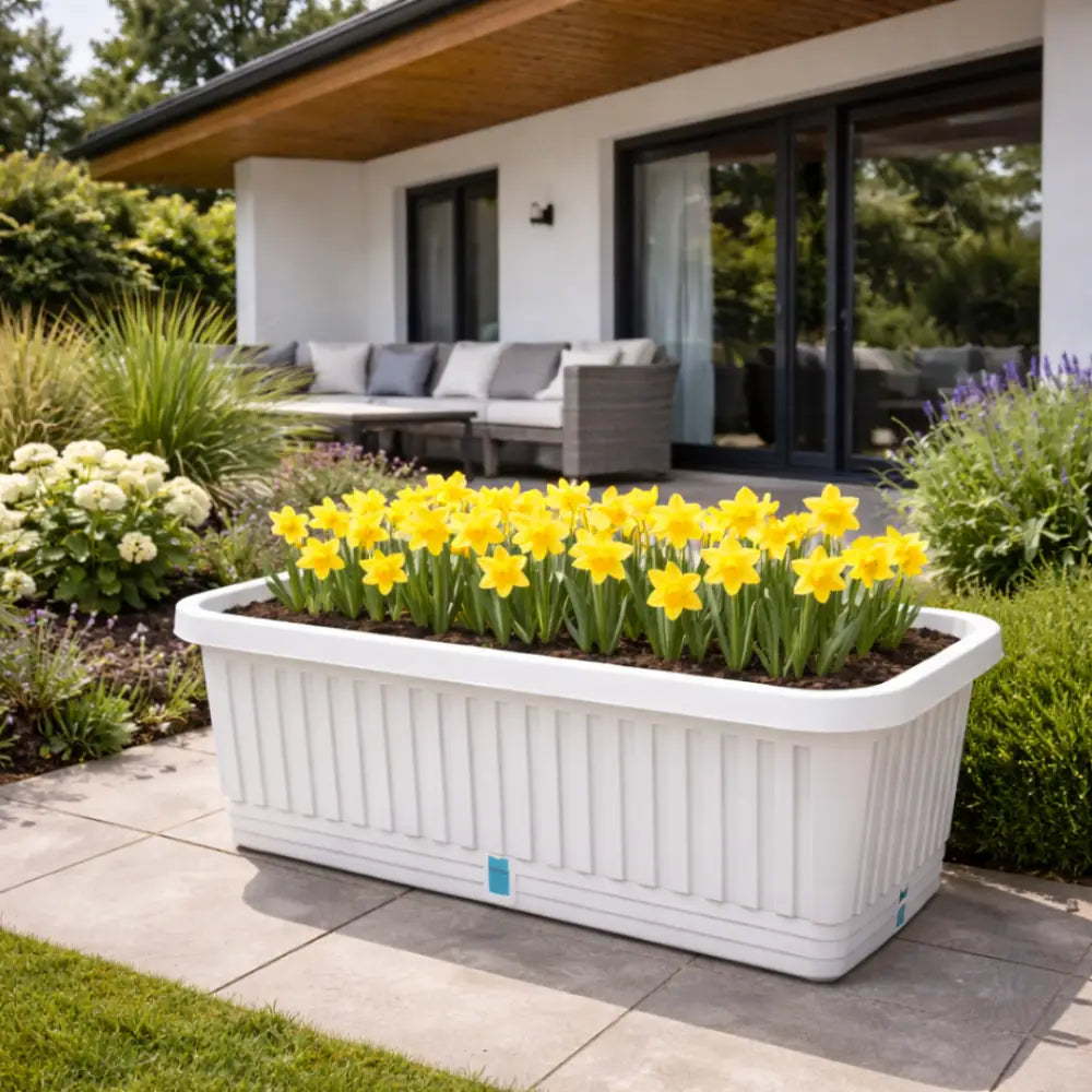 Jardinière extérieur plastique