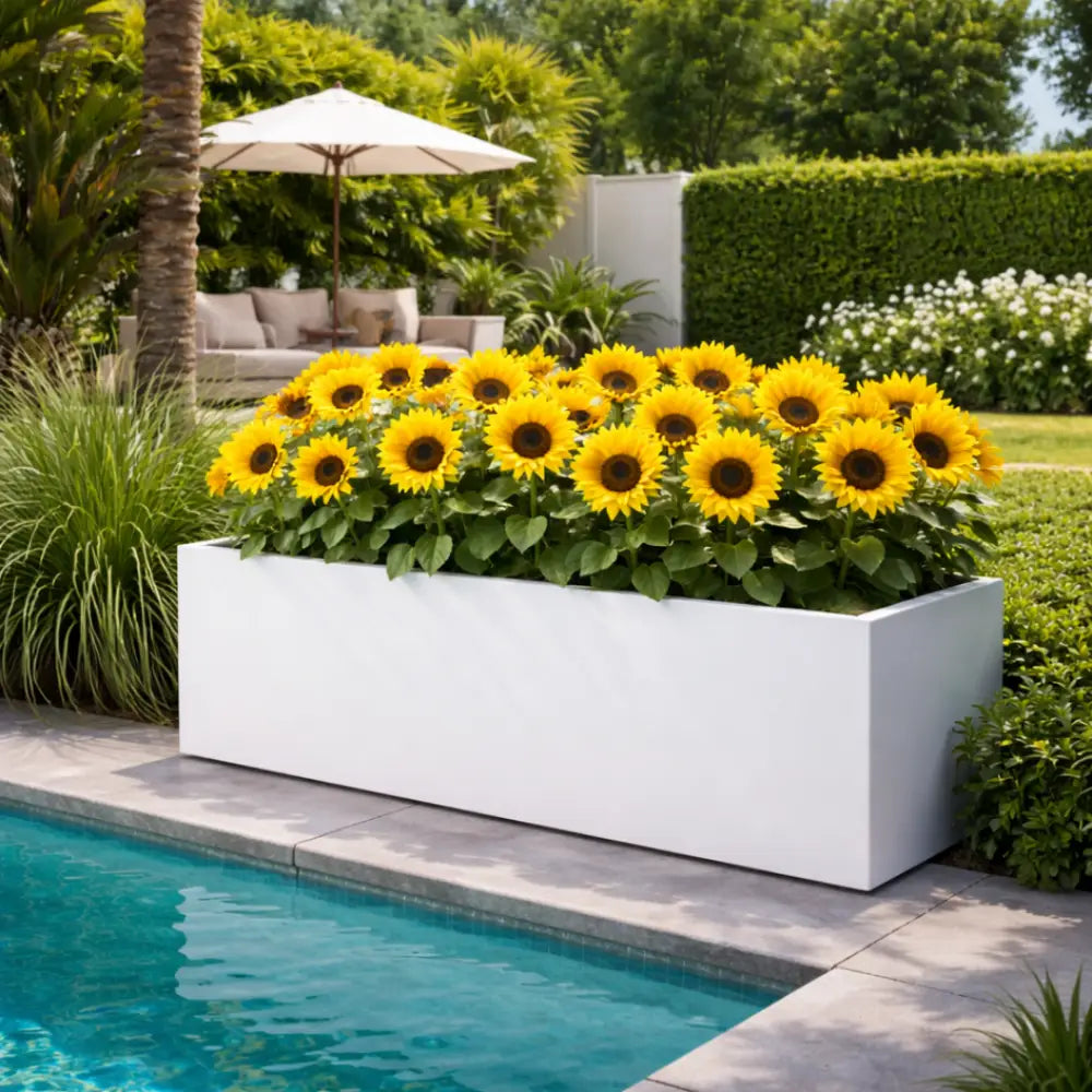 Jardinière extérieur xxl