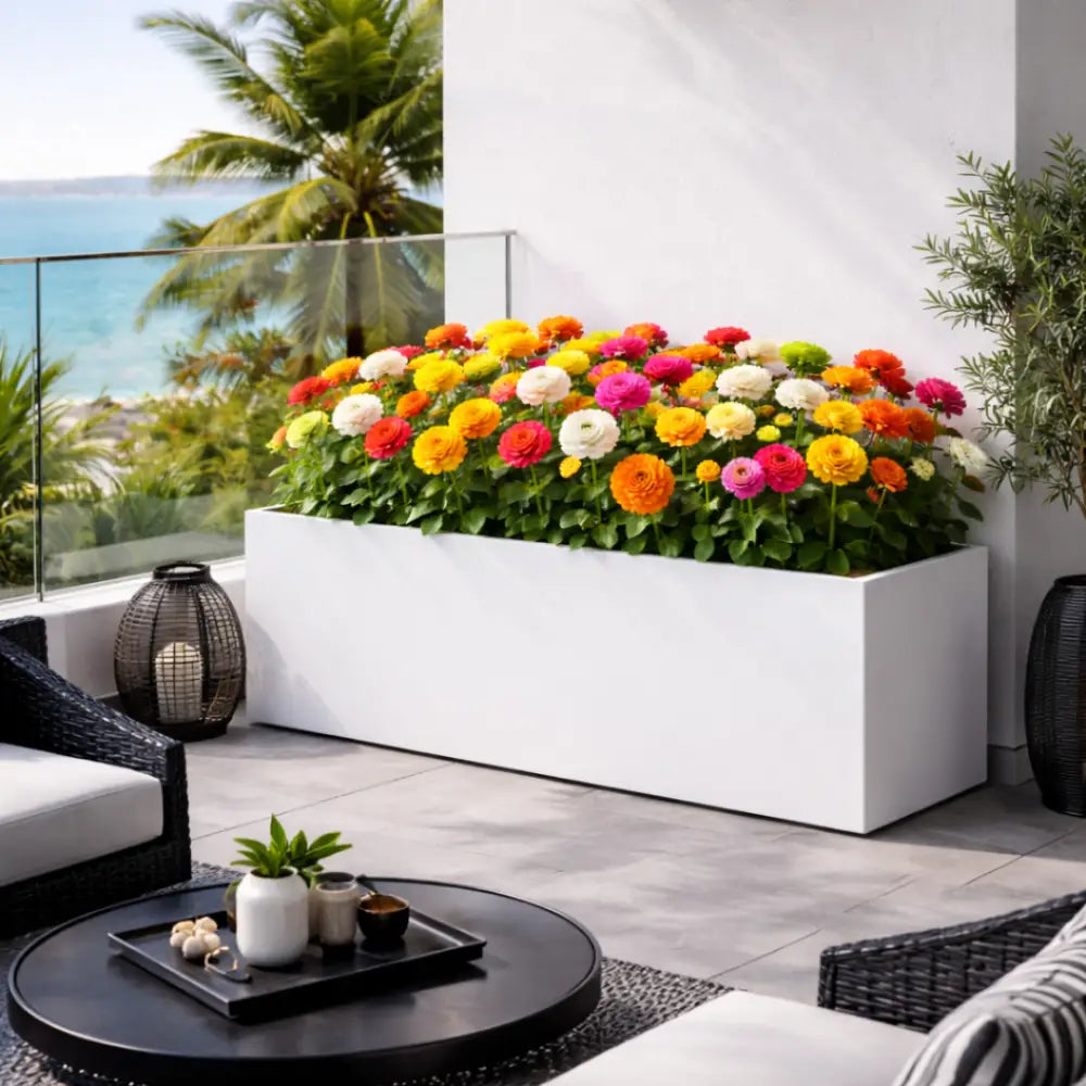 Jardinière extérieur xxl