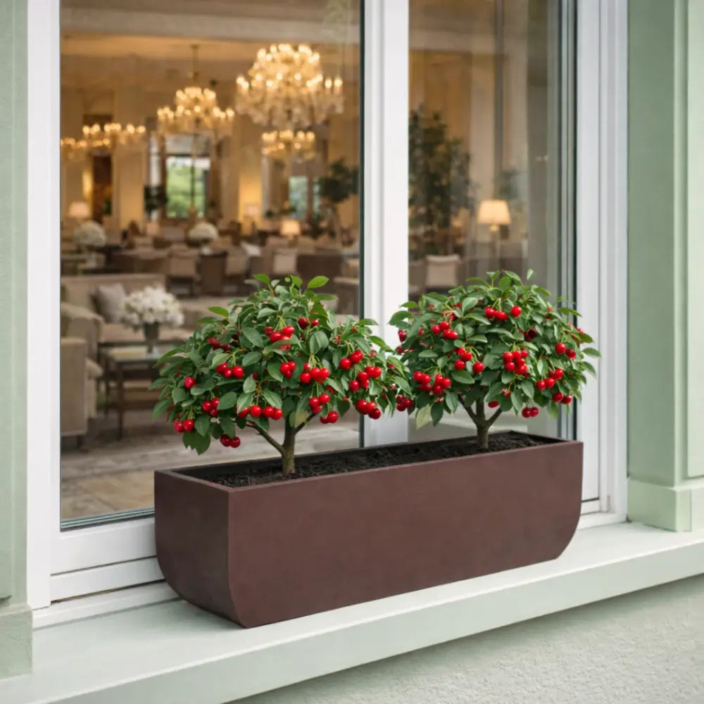 Jardinière fenêtre extérieur