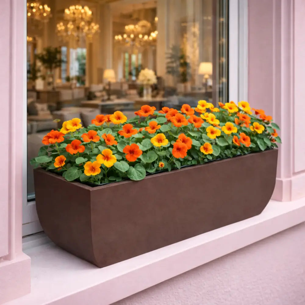 Jardinière fenêtre extérieur