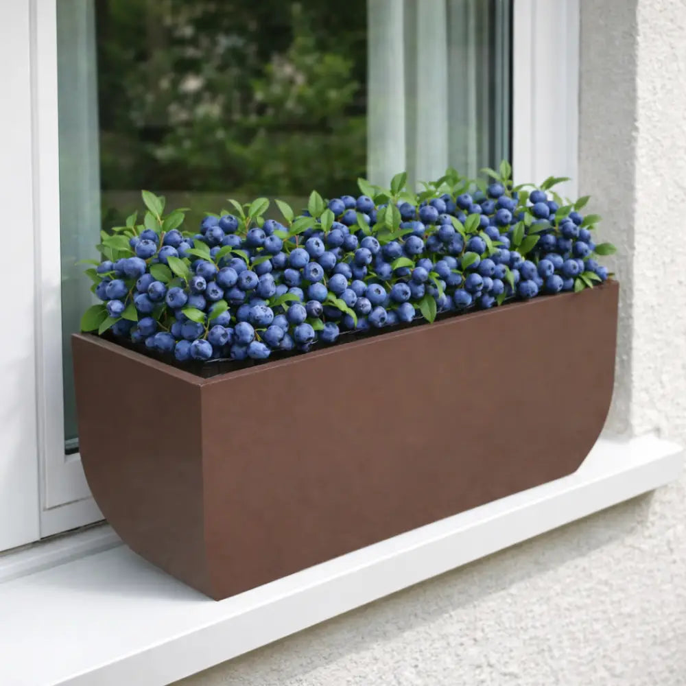 Jardinière fenêtre extérieur