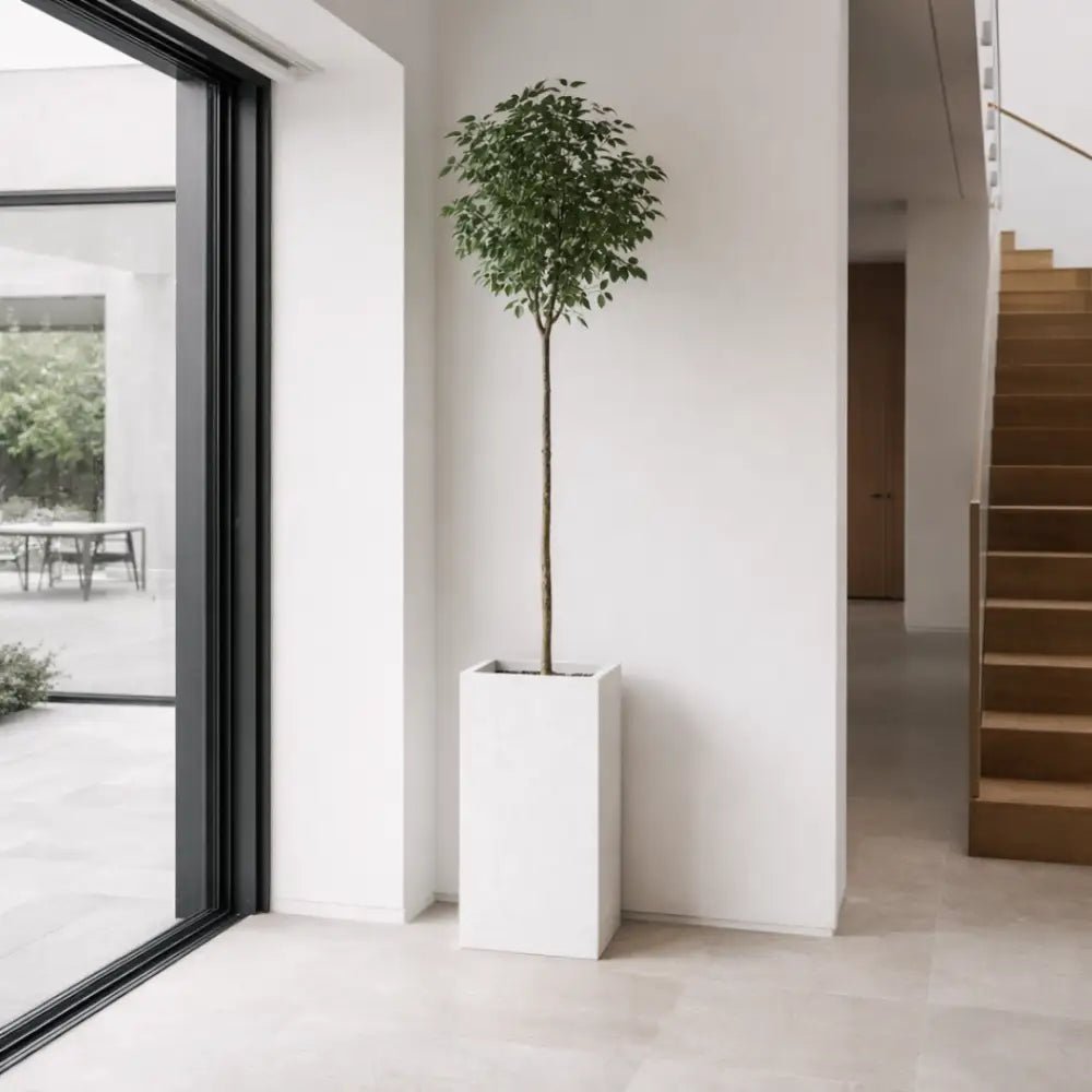 Jardinière haute 100 cm
