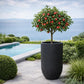 Jardinière haute extérieur