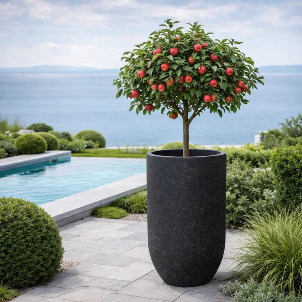 Jardinière haute extérieur