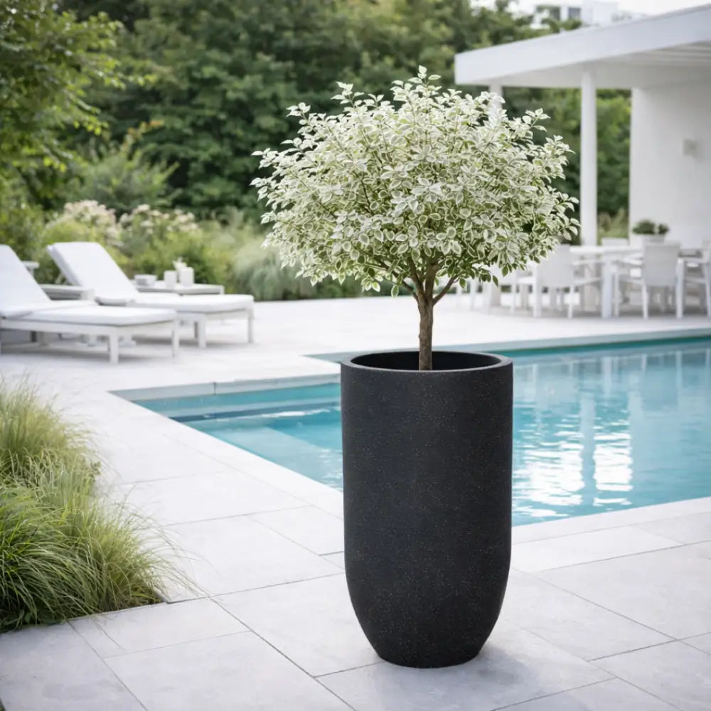 Jardinière haute extérieur