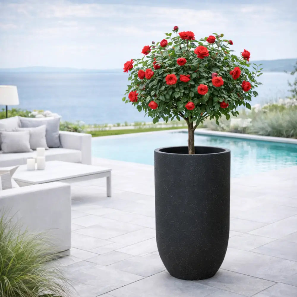 Jardinière haute extérieur
