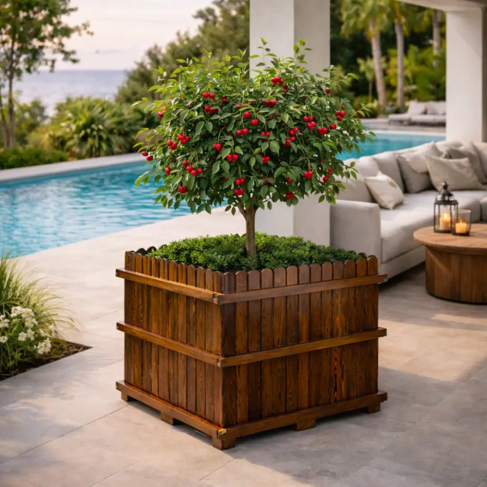 Jardinière hauteur 100 cm