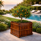 Jardinière hauteur 100 cm
