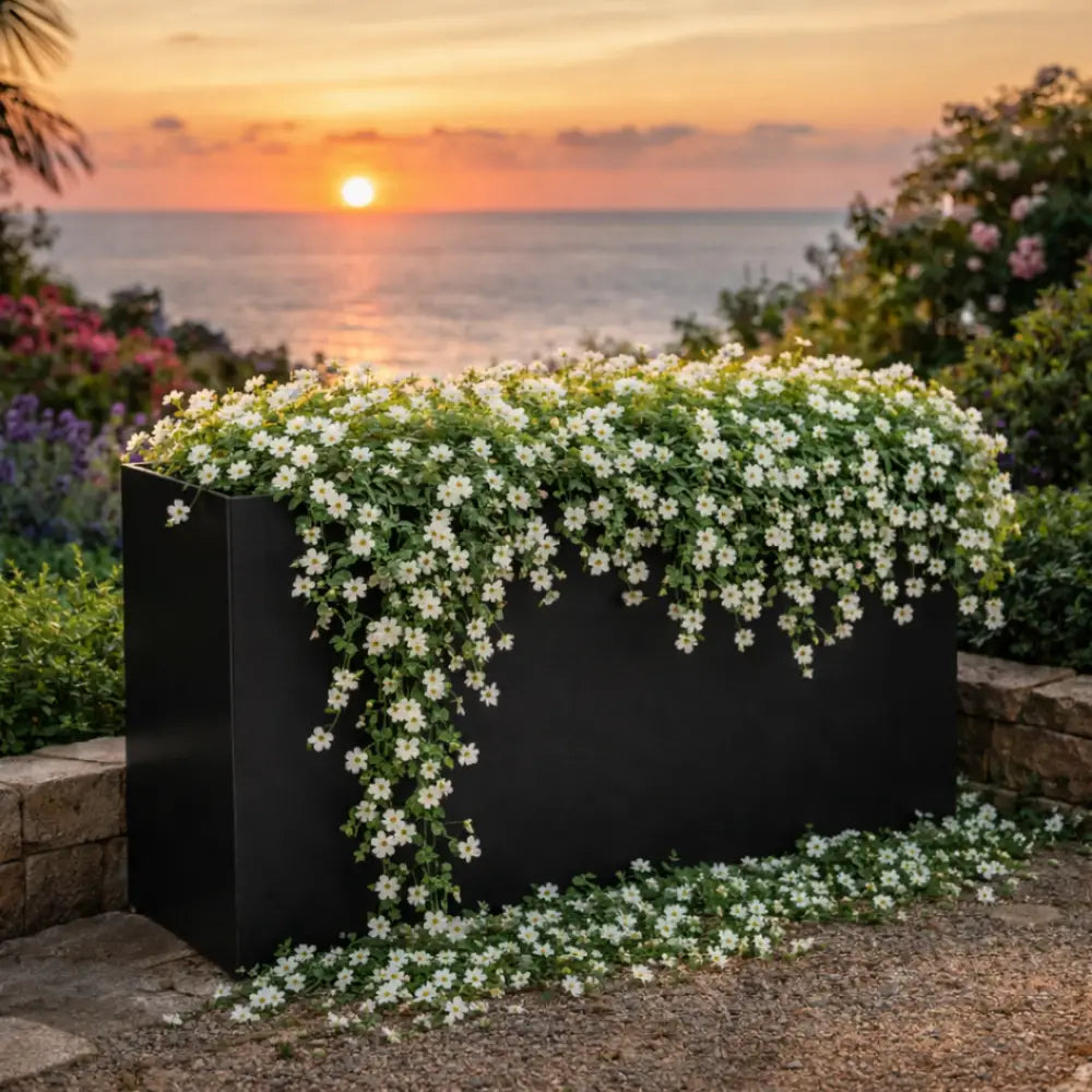 Jardinière noire rectangulaire