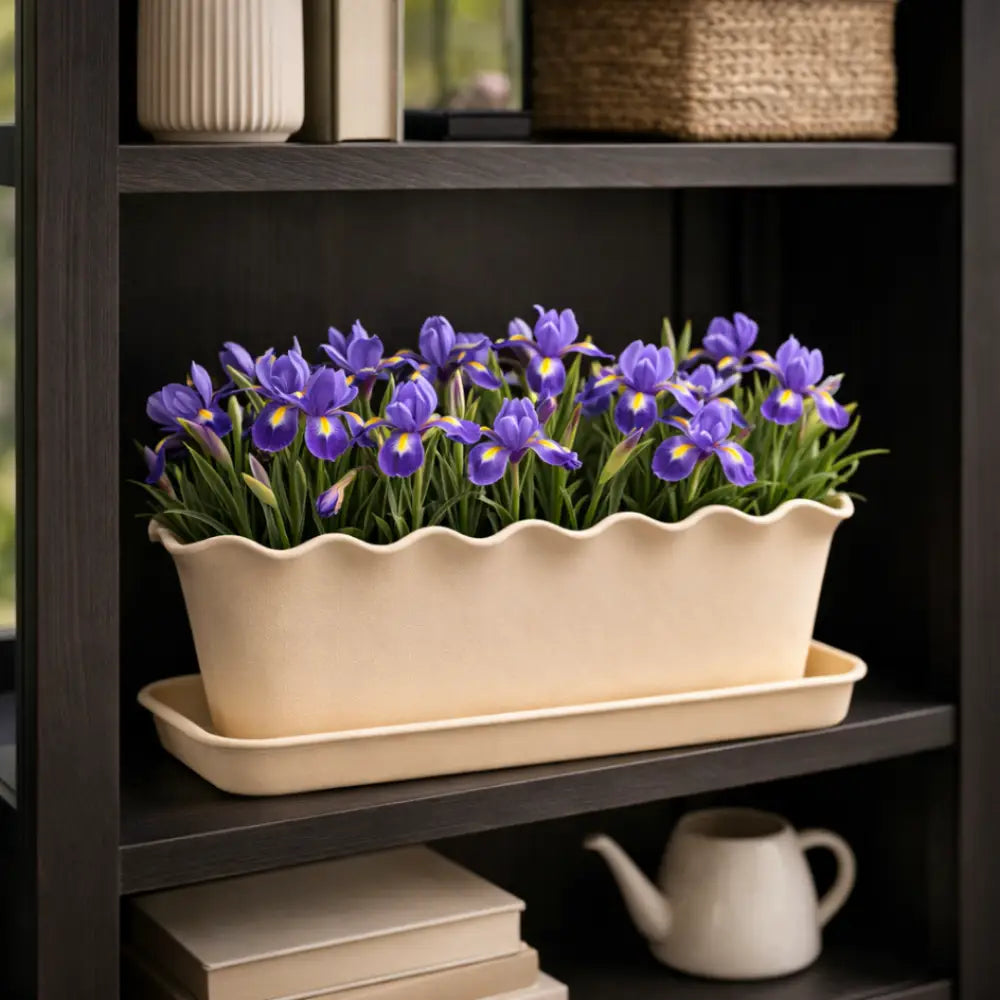 Jardinière plastique 30 cm