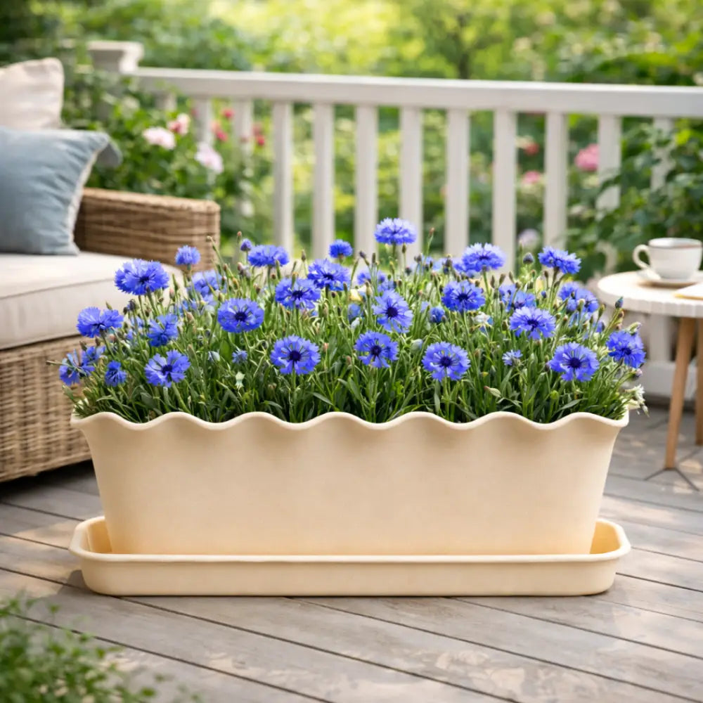 Jardinière plastique 30 cm