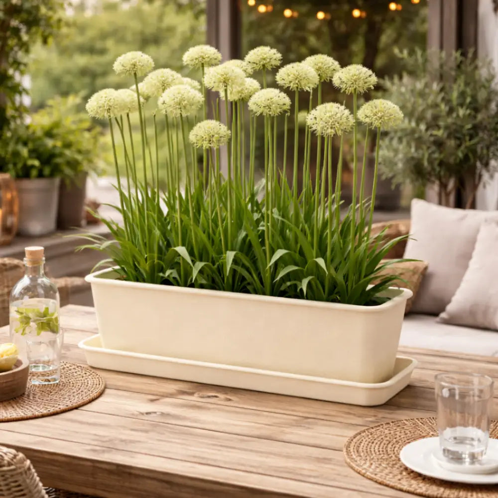 Jardinière plastique 40 cm
