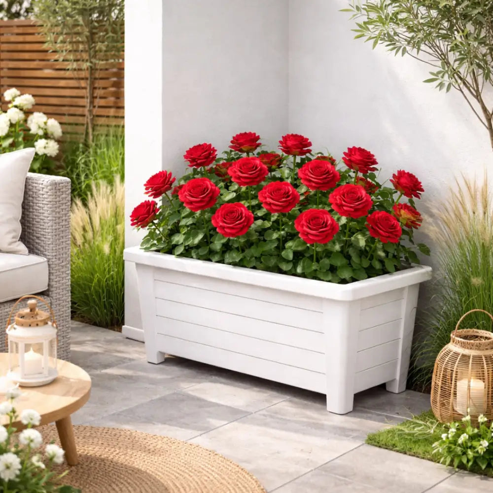 Jardinière plastique 50 cm