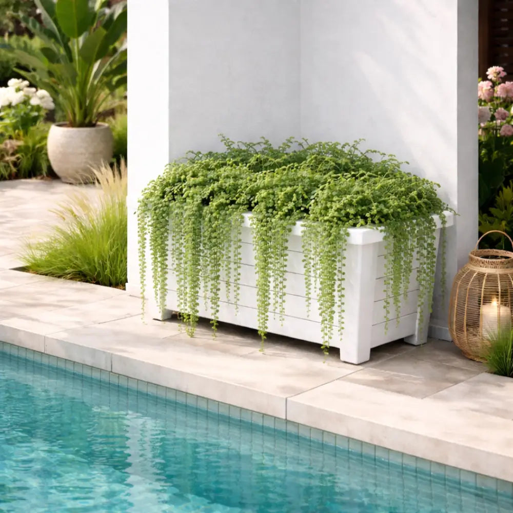 Jardinière plastique 50 cm