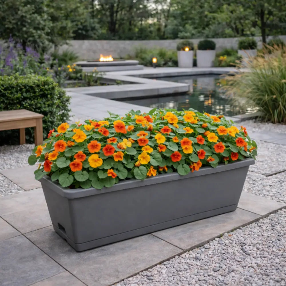 Jardinière plastique 60 cm