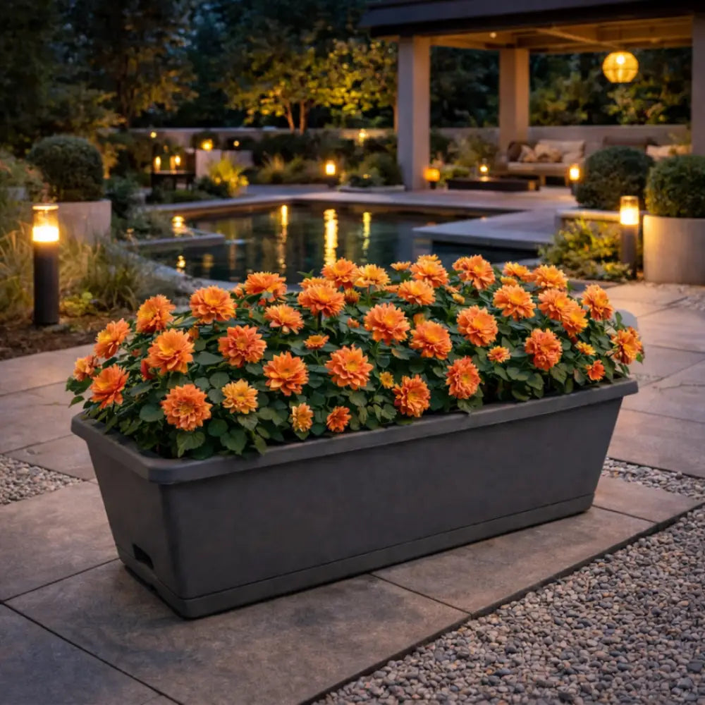 Jardinière plastique 60 cm