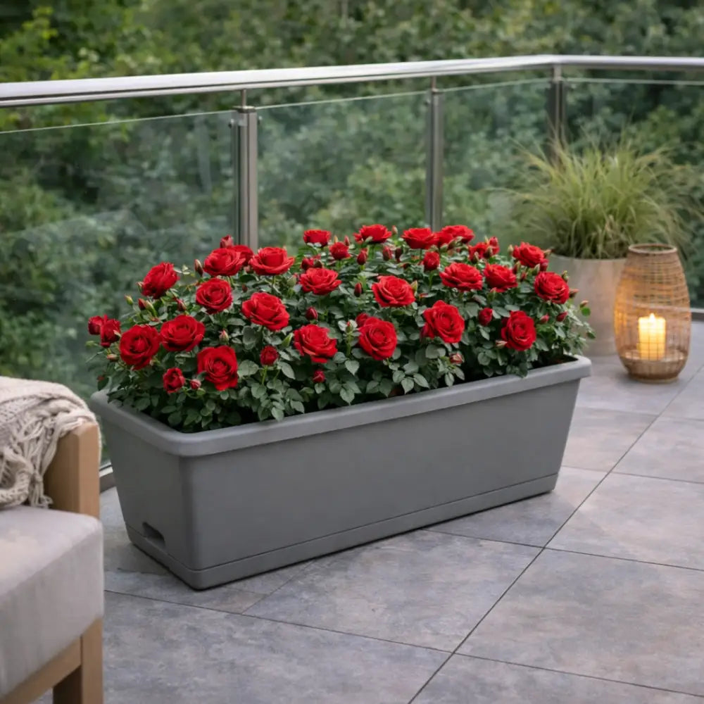Jardinière plastique 60 cm