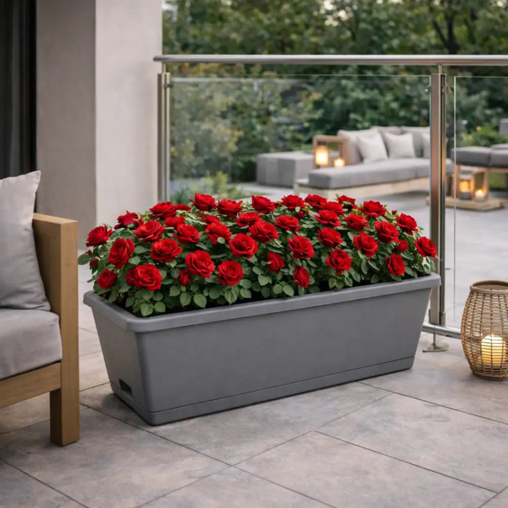 Jardinière plastique 60 cm