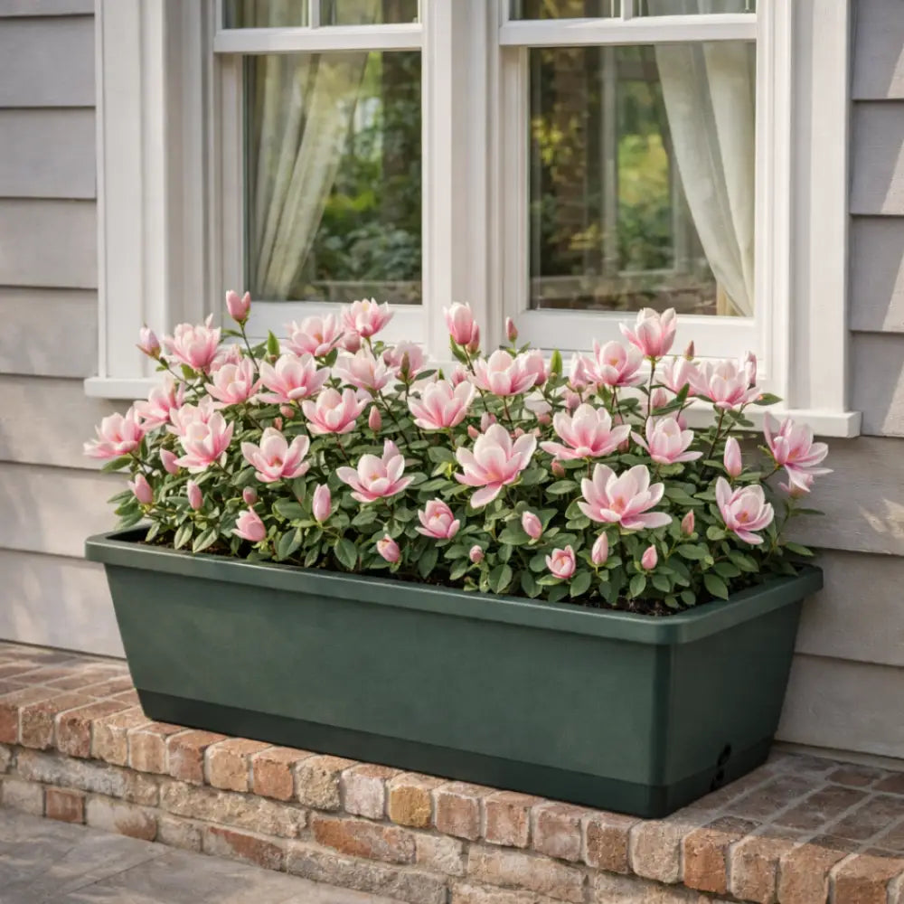Jardinière plastique rectangulaire 60 cm