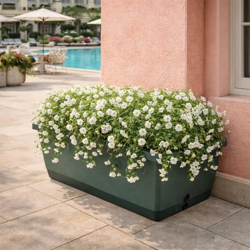 Jardinière plastique rectangulaire 60 cm
