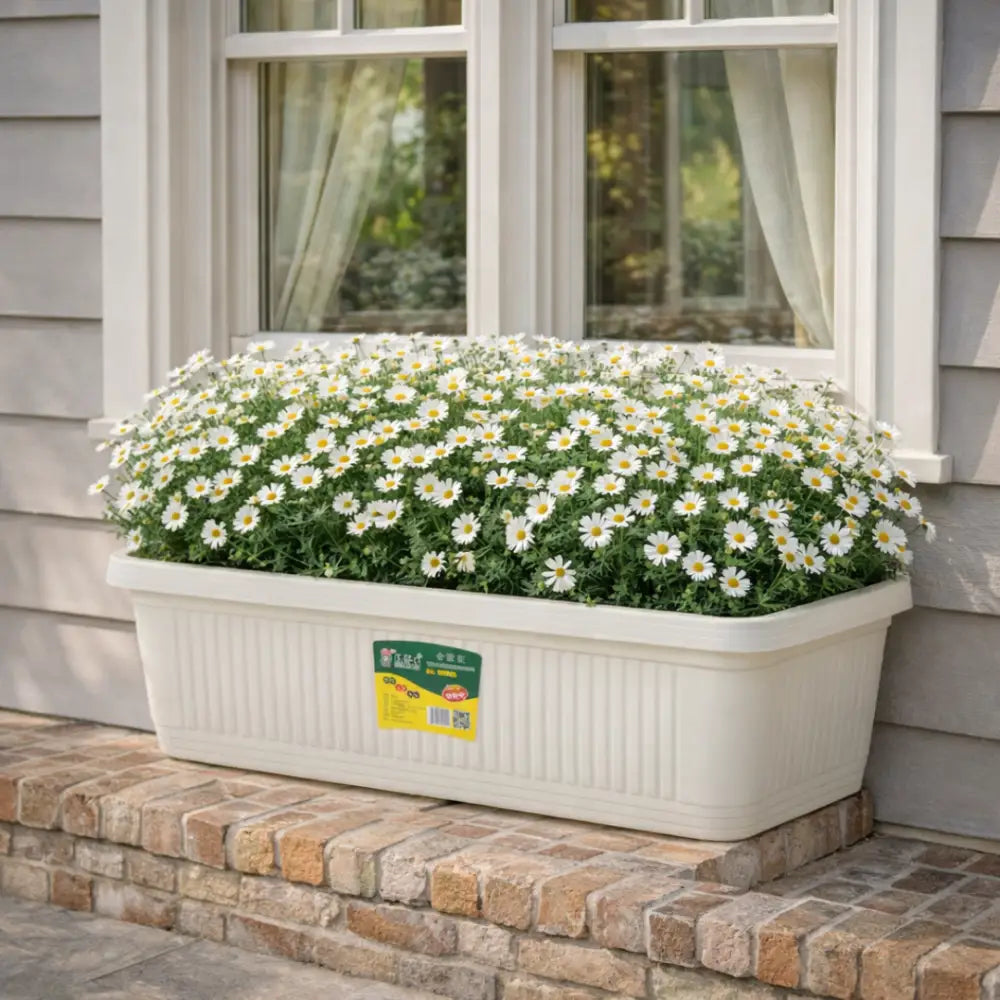 Jardinière plastique rectangulaire 70 cm