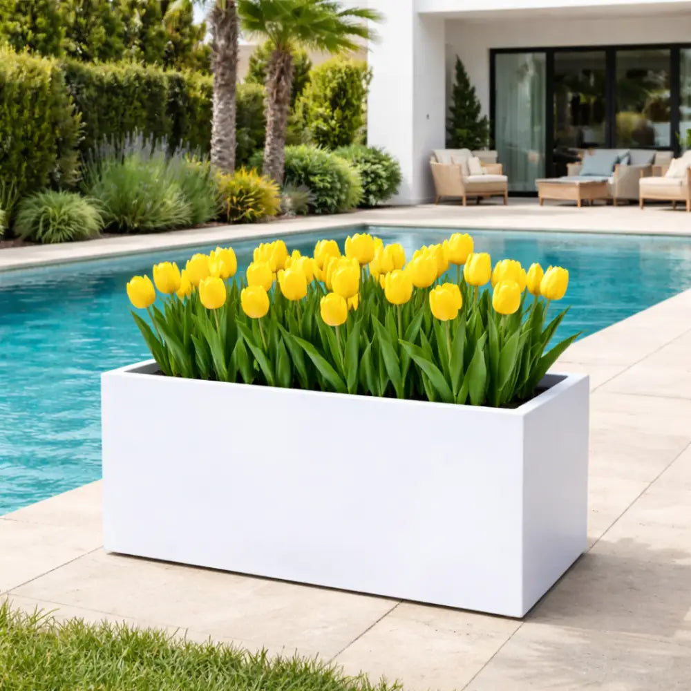 Jardinière rectangulaire blanche