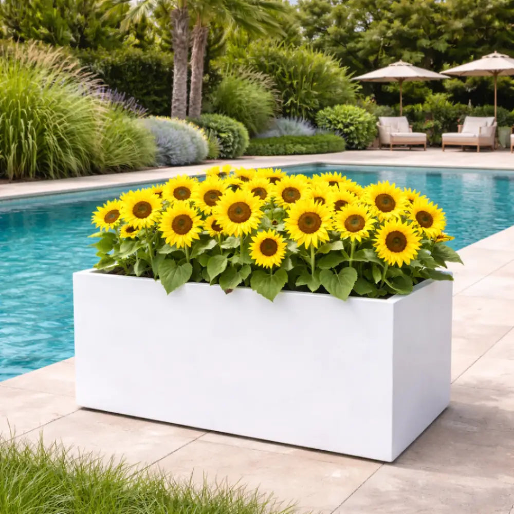 Jardinière rectangulaire blanche