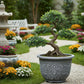 Jardinière ronde en plastique