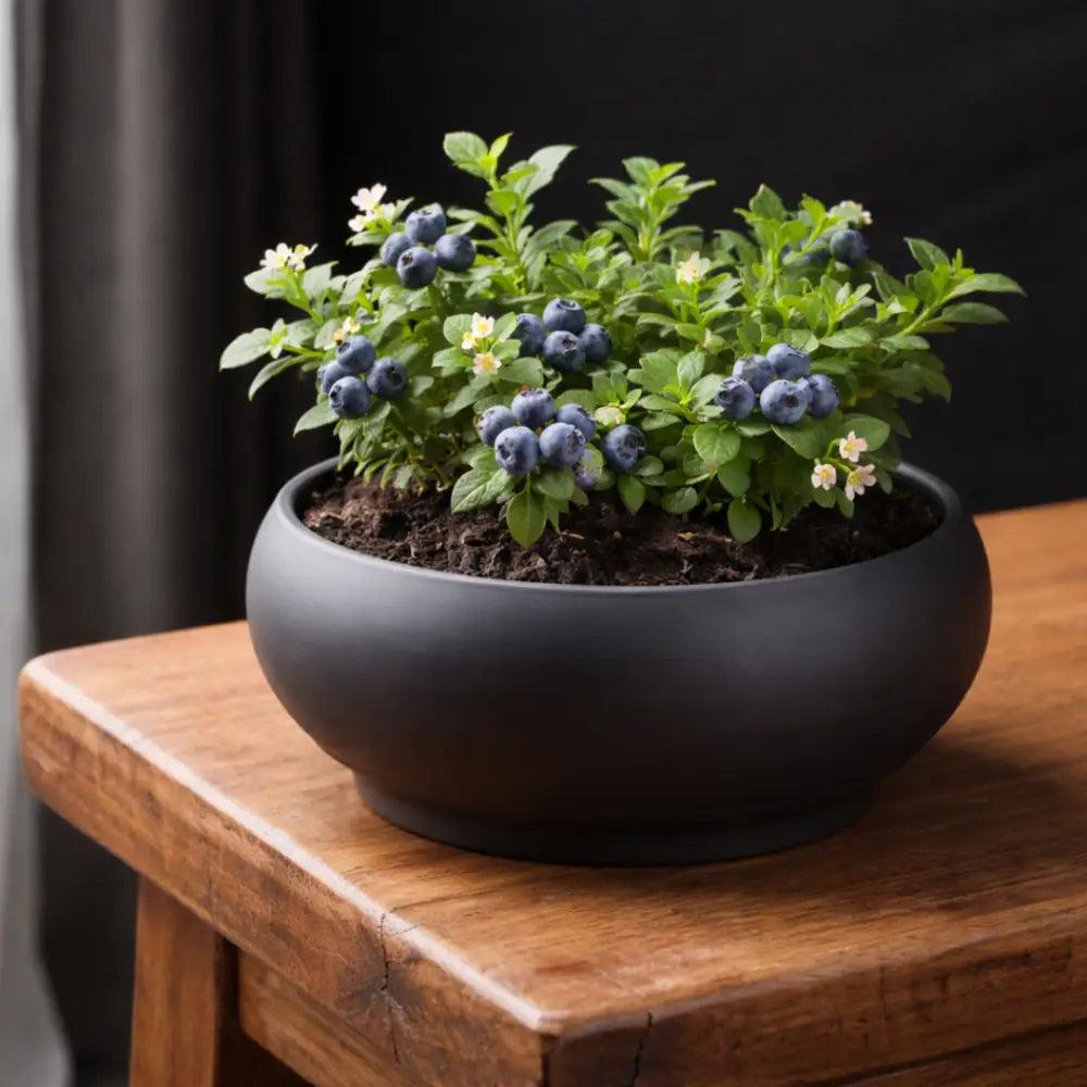 Jardinière ronde terre cuite