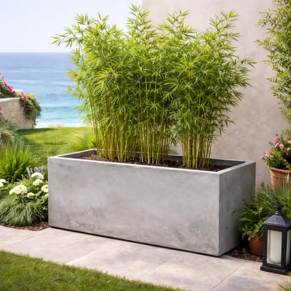 Jardinière xxl béton