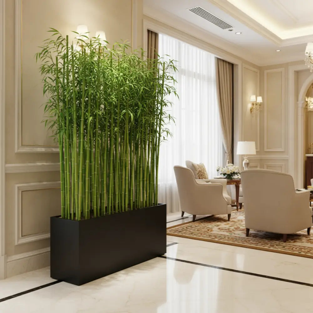 Jardinière xxl pour bambou