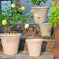 Lot pot de fleur plastique