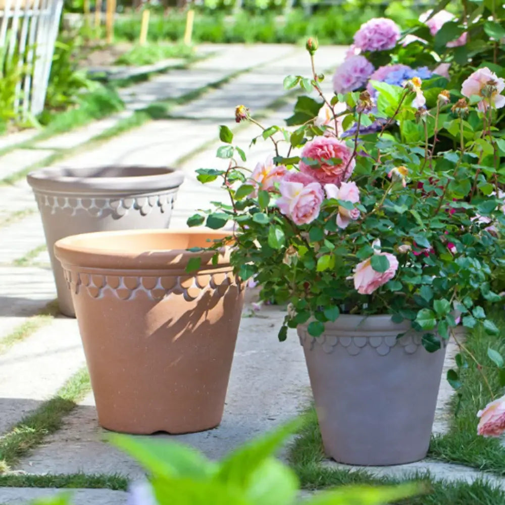 Lot pot de fleur plastique