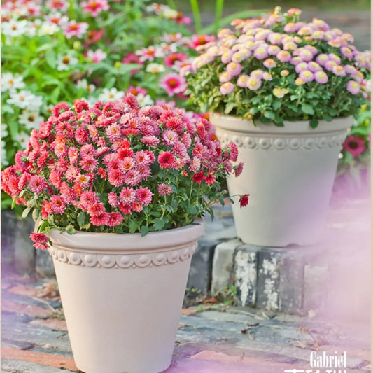 Lot pot de fleur plastique