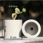 Mini pot de fleur