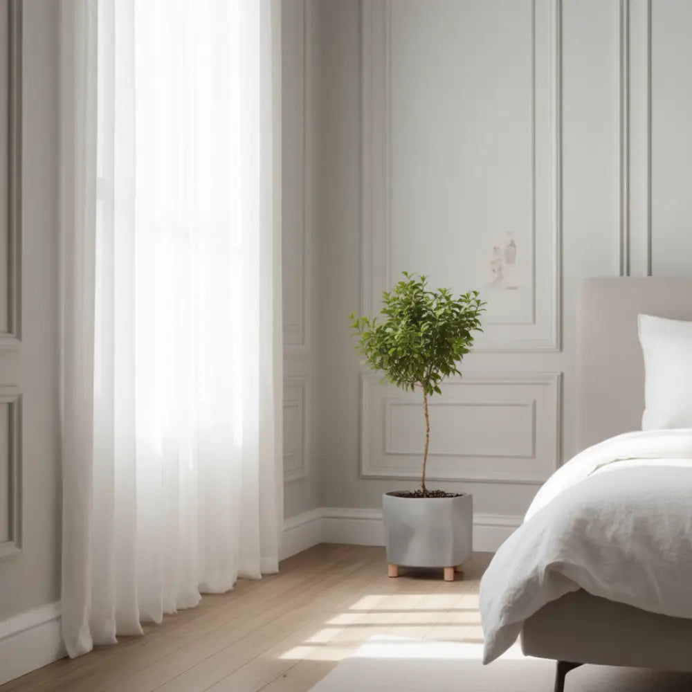 Petit pot de fleur carré