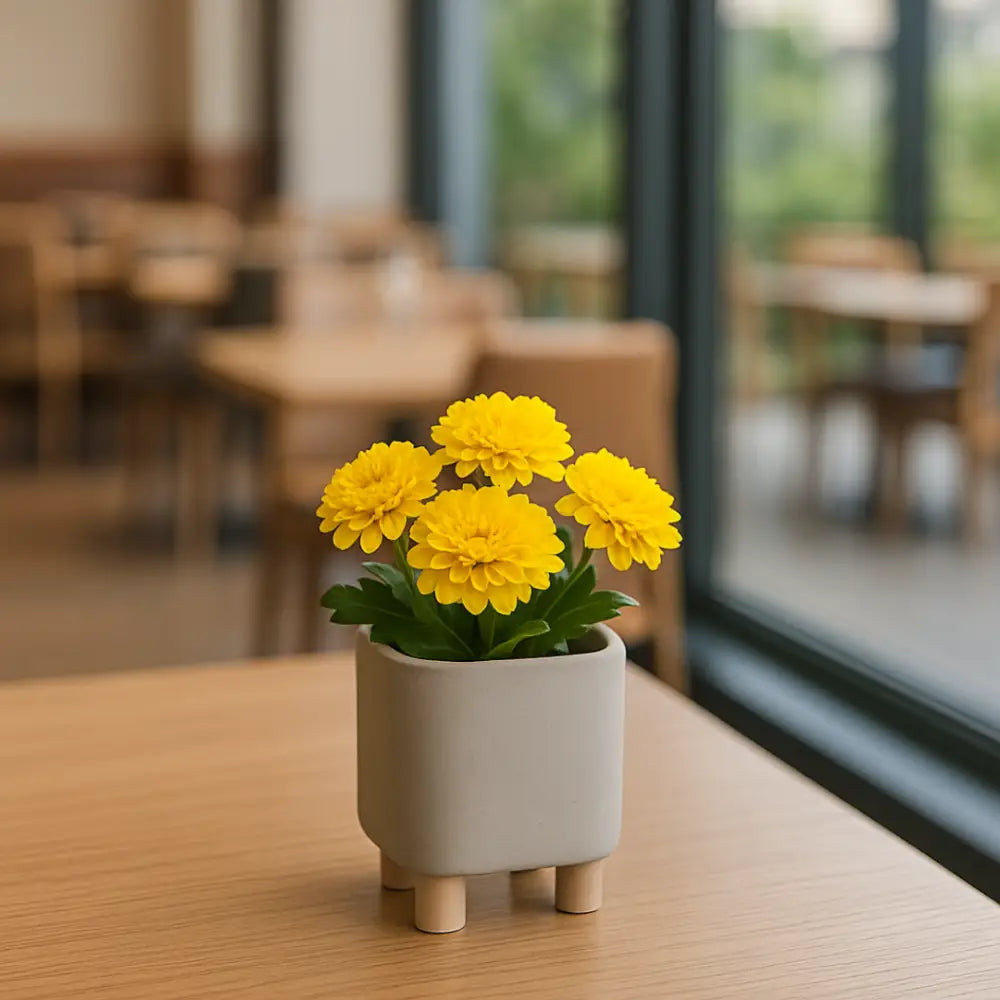 Petit pot de fleur carré